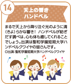 たねだんごでキレイな花を咲かせましょう